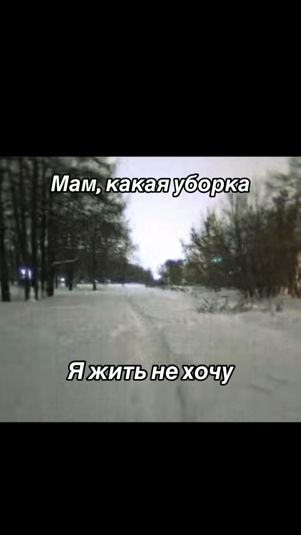 @kiserii_qwer