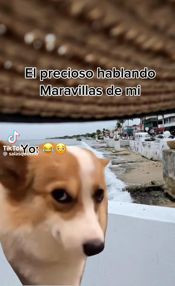 @🦋ArellanoIvonne🦋