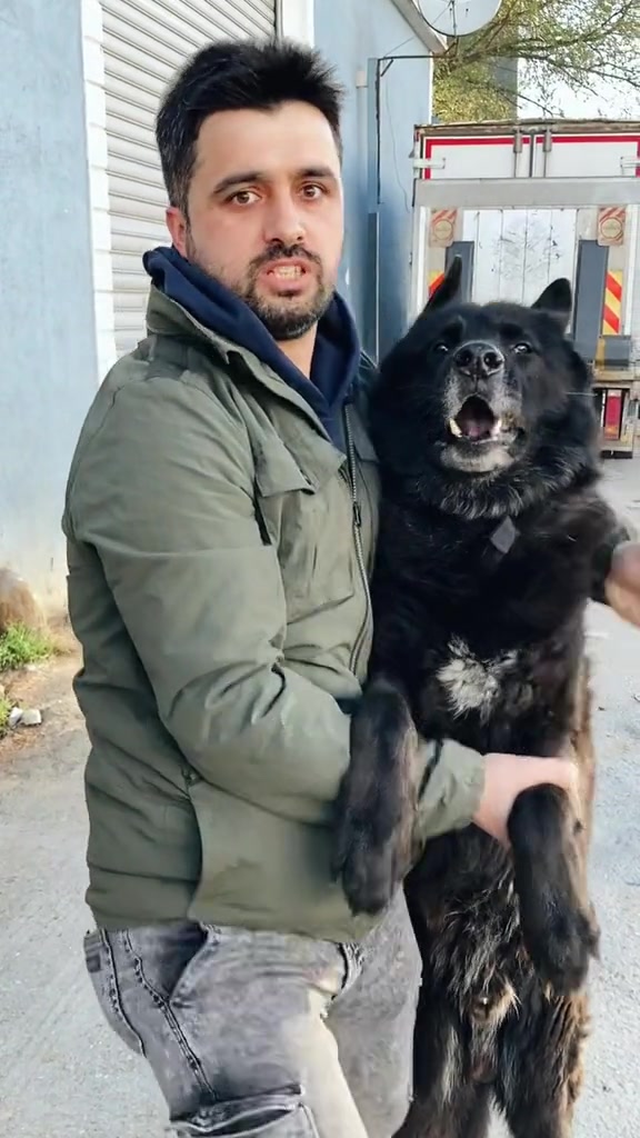 @Serkan