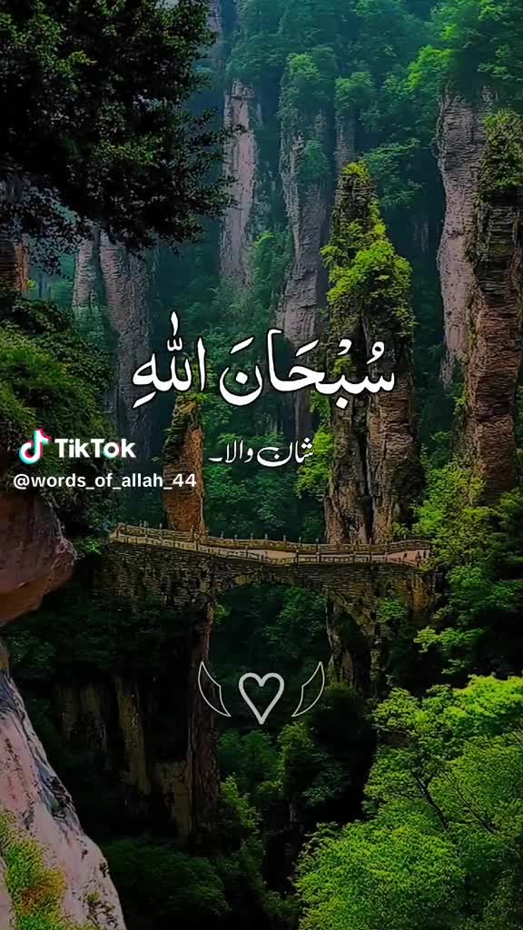 @Raja Jamil