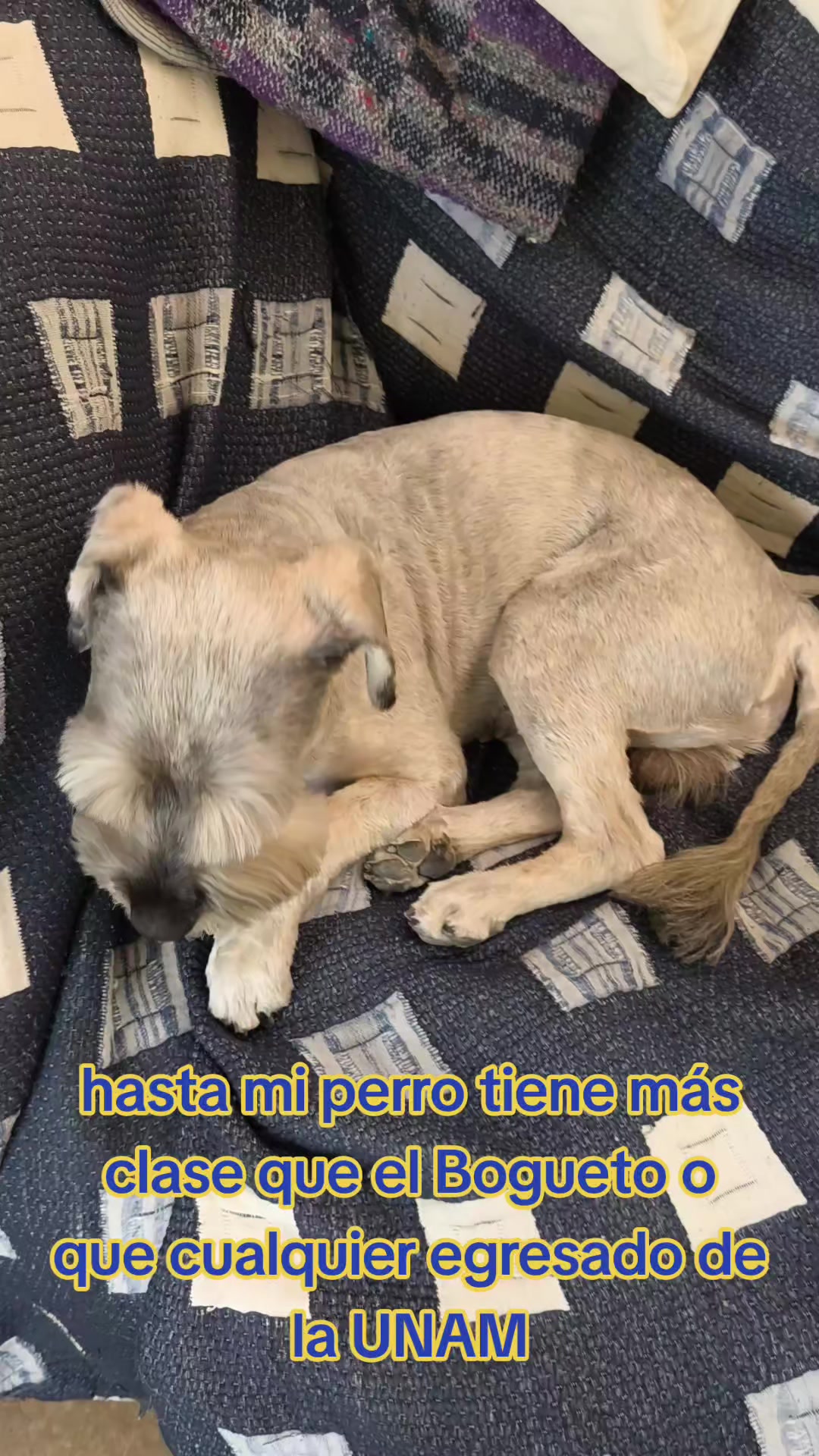 @Alejandro Carmona 🍓