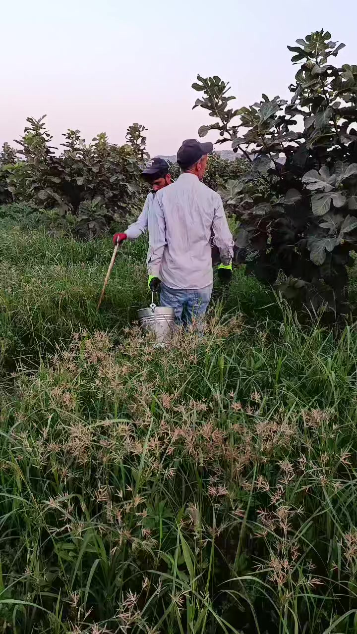 @firatavci315