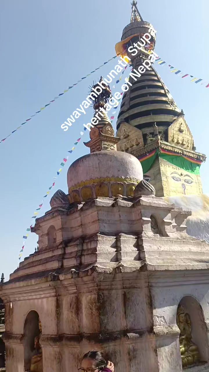 @Bina Lama