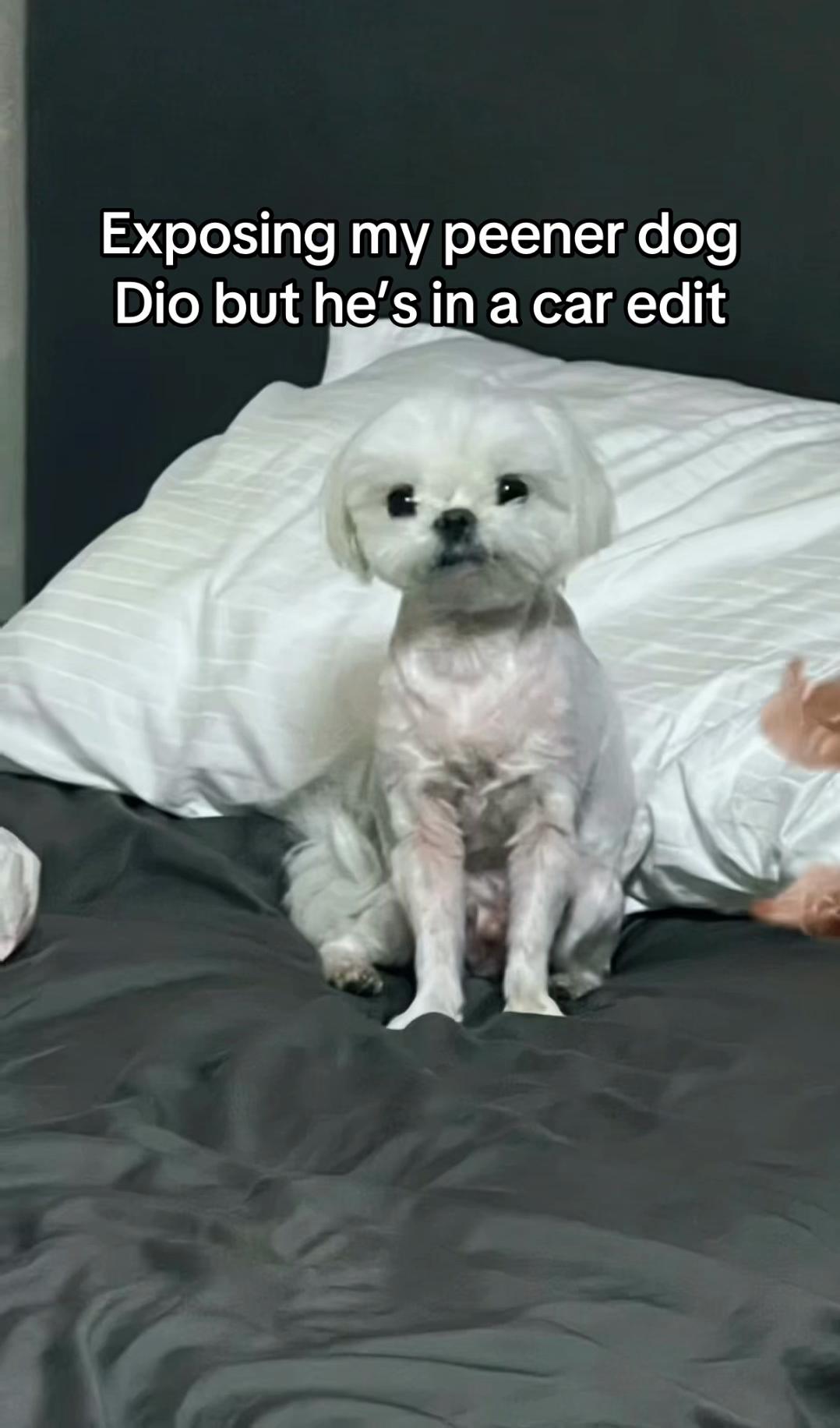 @JayNoen