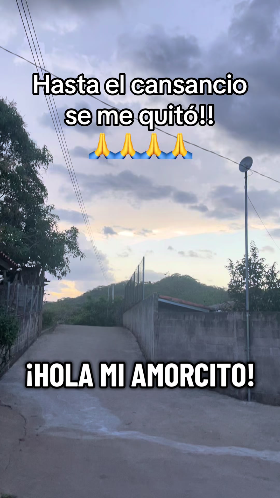 @El Fenix