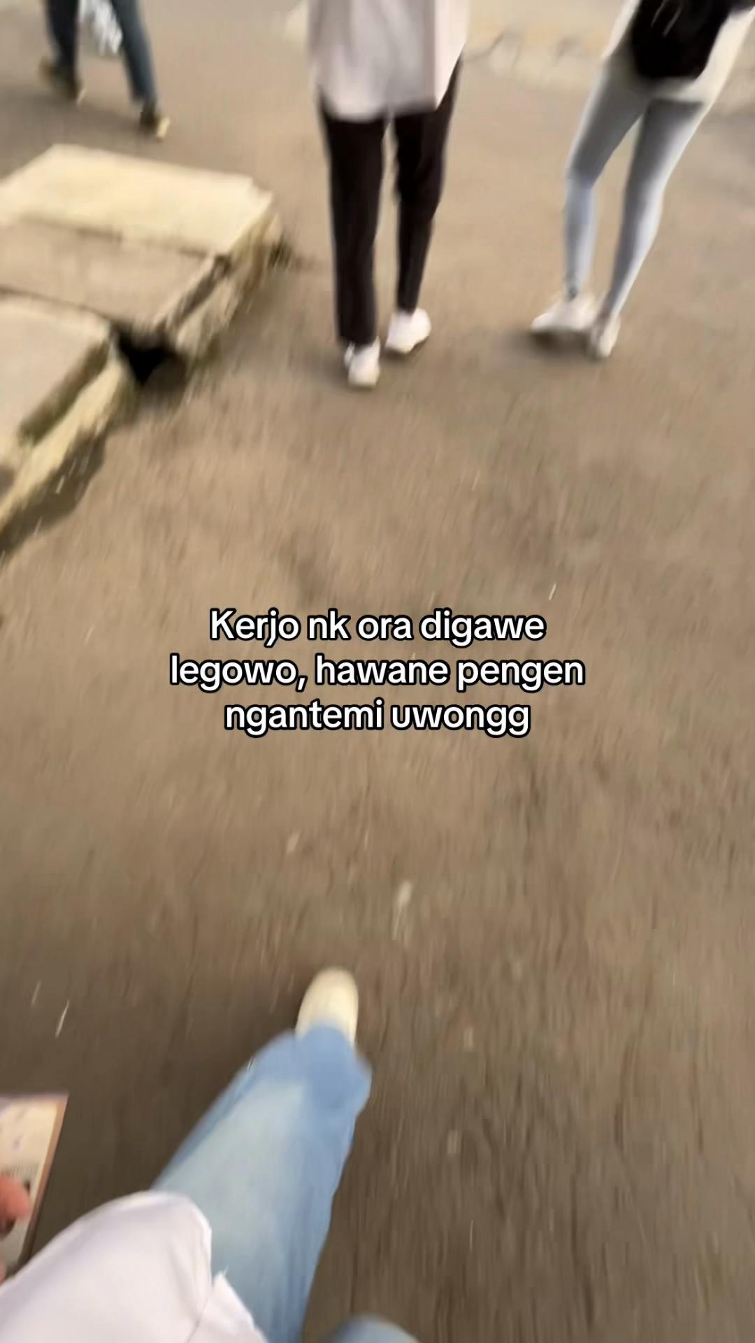 @inisptii