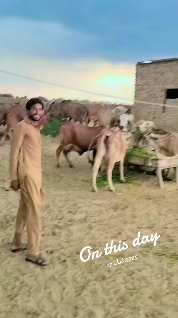 @Alishar 133