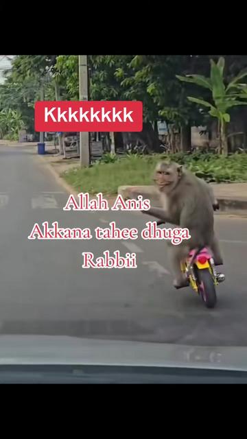 @BOSS 2020 🇪🇹 to 🇶🇦 ❤️🧍