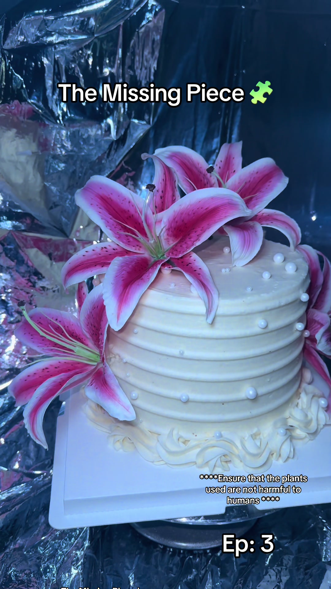 @Carters Cakes and Delights