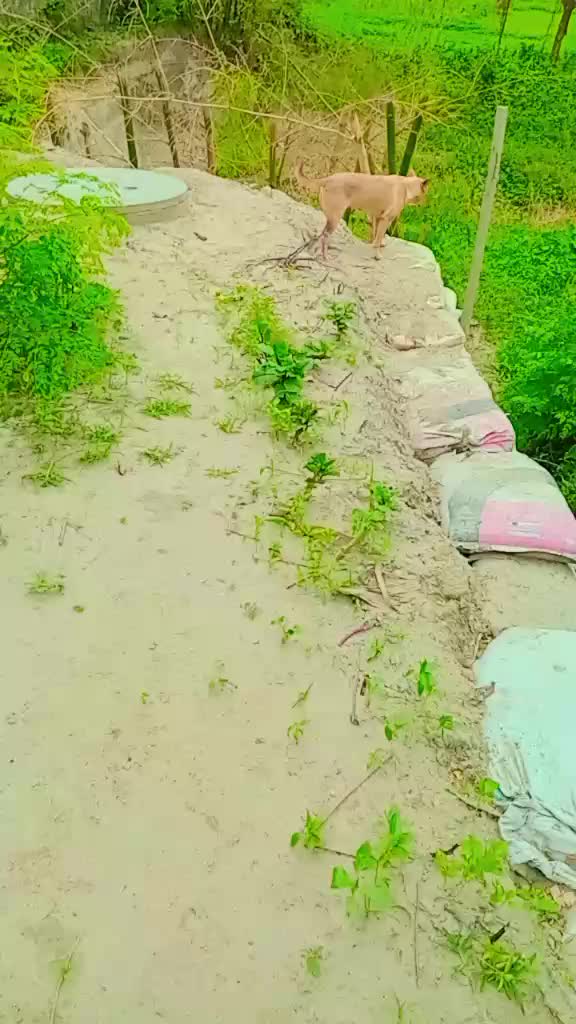 @user12275926043