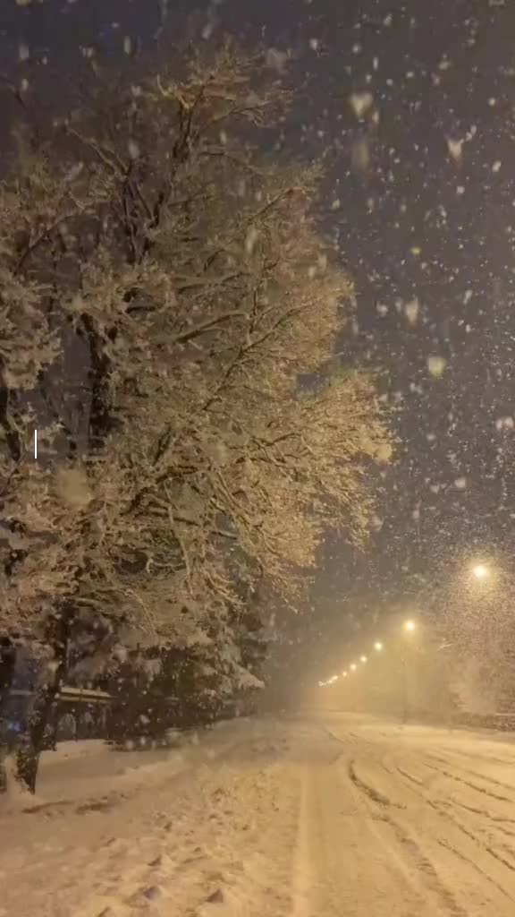@❄️winter⛷️