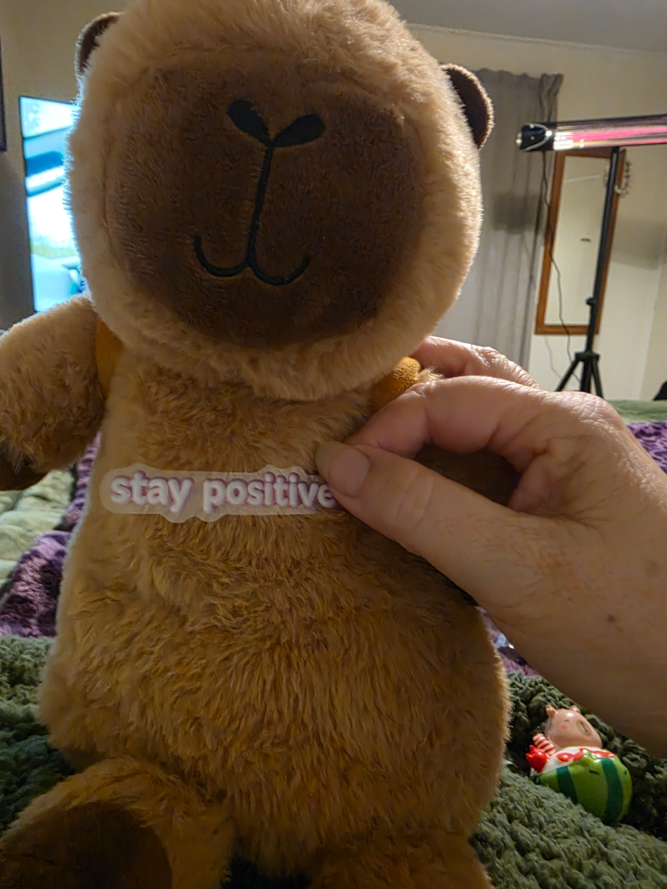 @Kimi 🇳🇿💜
