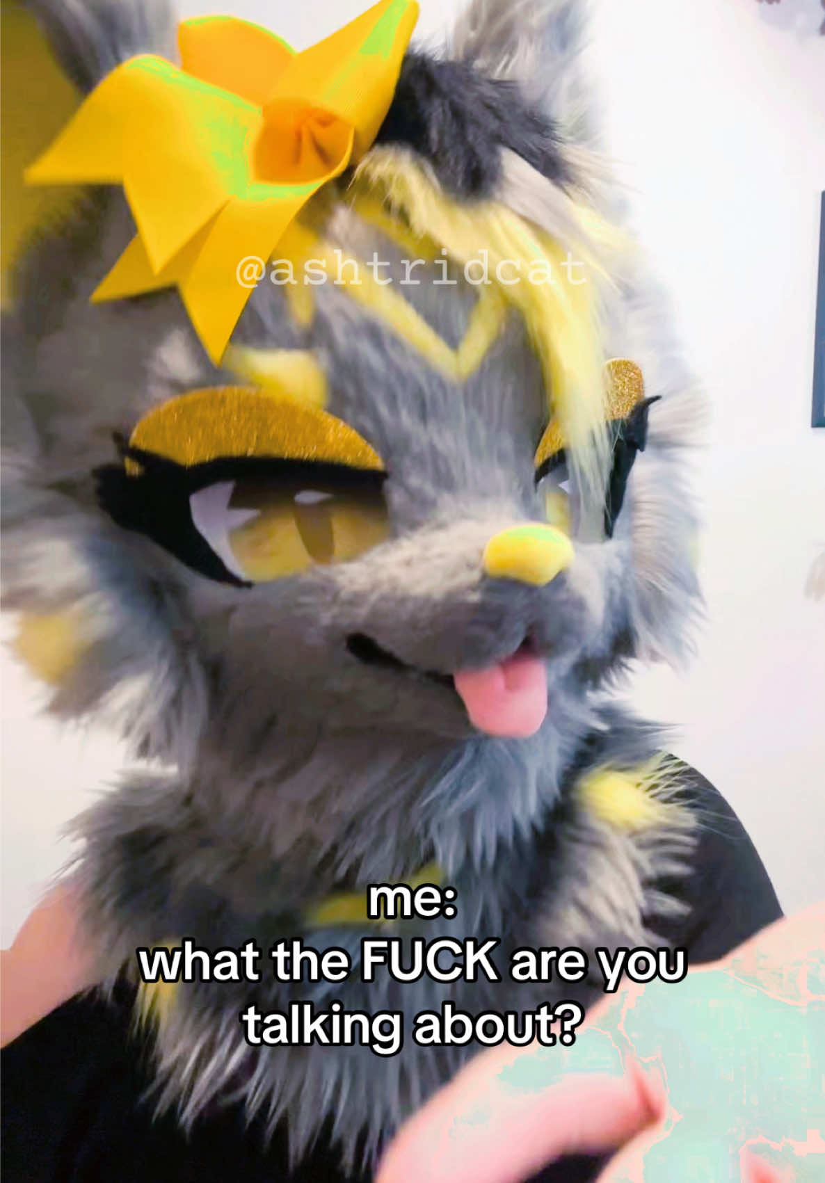 @AshtridCat
