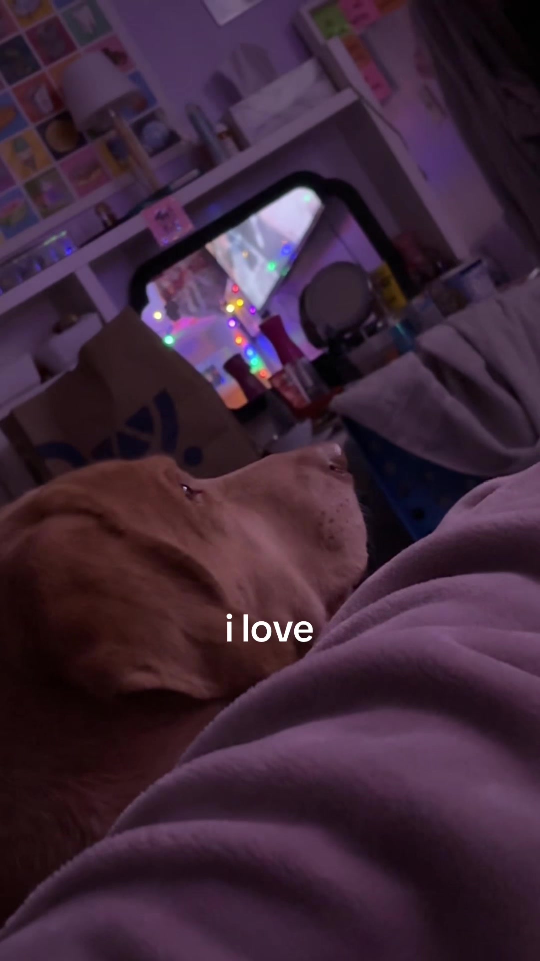 @Jazmyne♡⋆𐙚₊˚♡