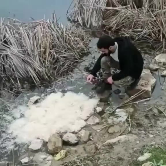 @Mehbus