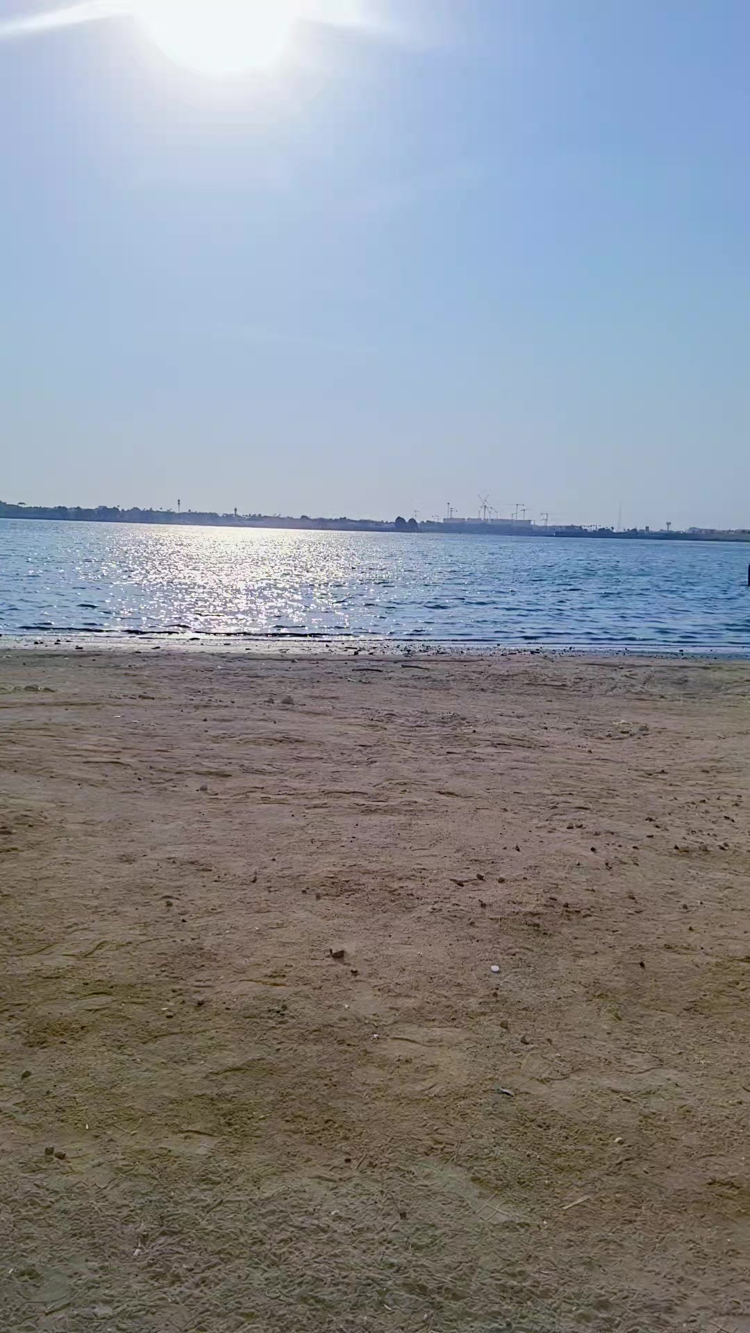@طلحہ جٹ