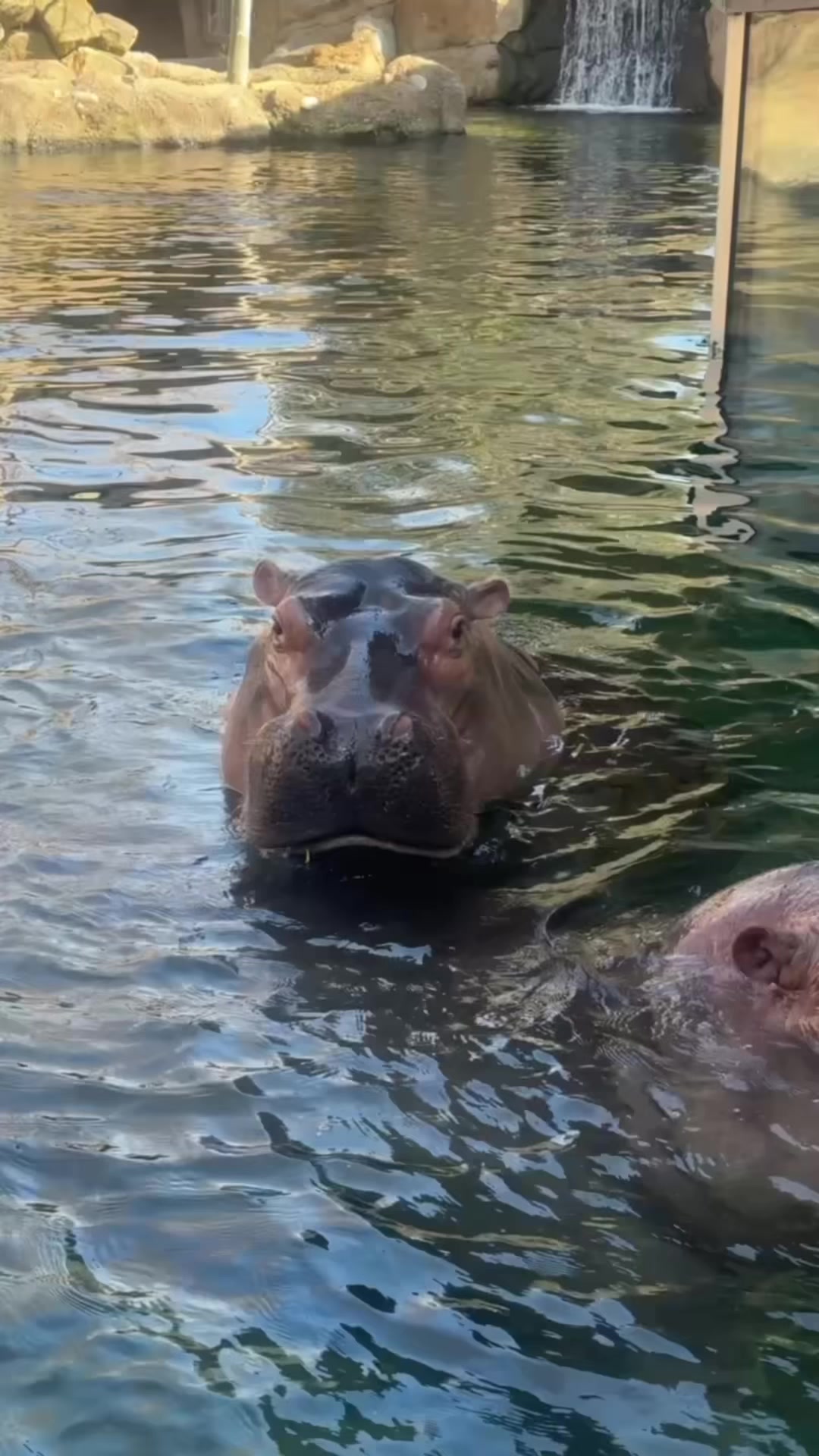 @Cincinnati Zoo
