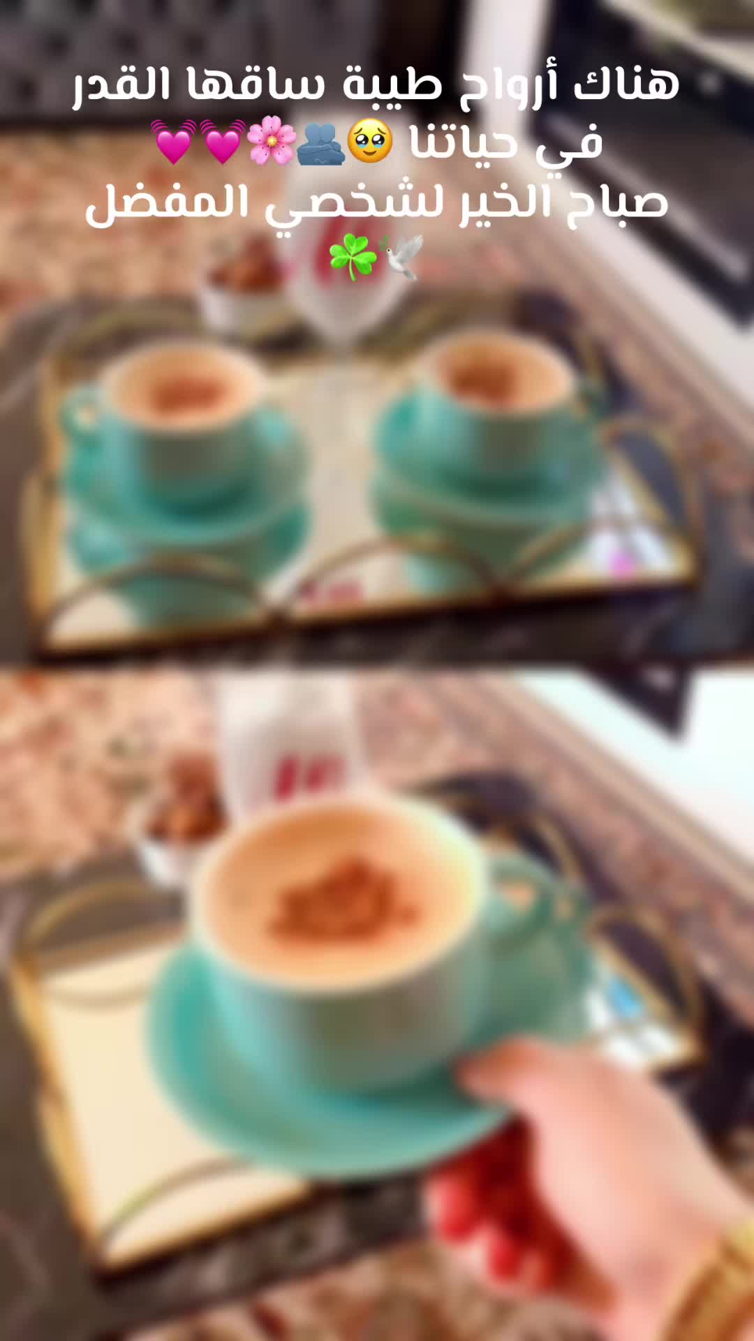 @مــْدلـ๋͜ـلـھۃᥫ᭡ 🦋