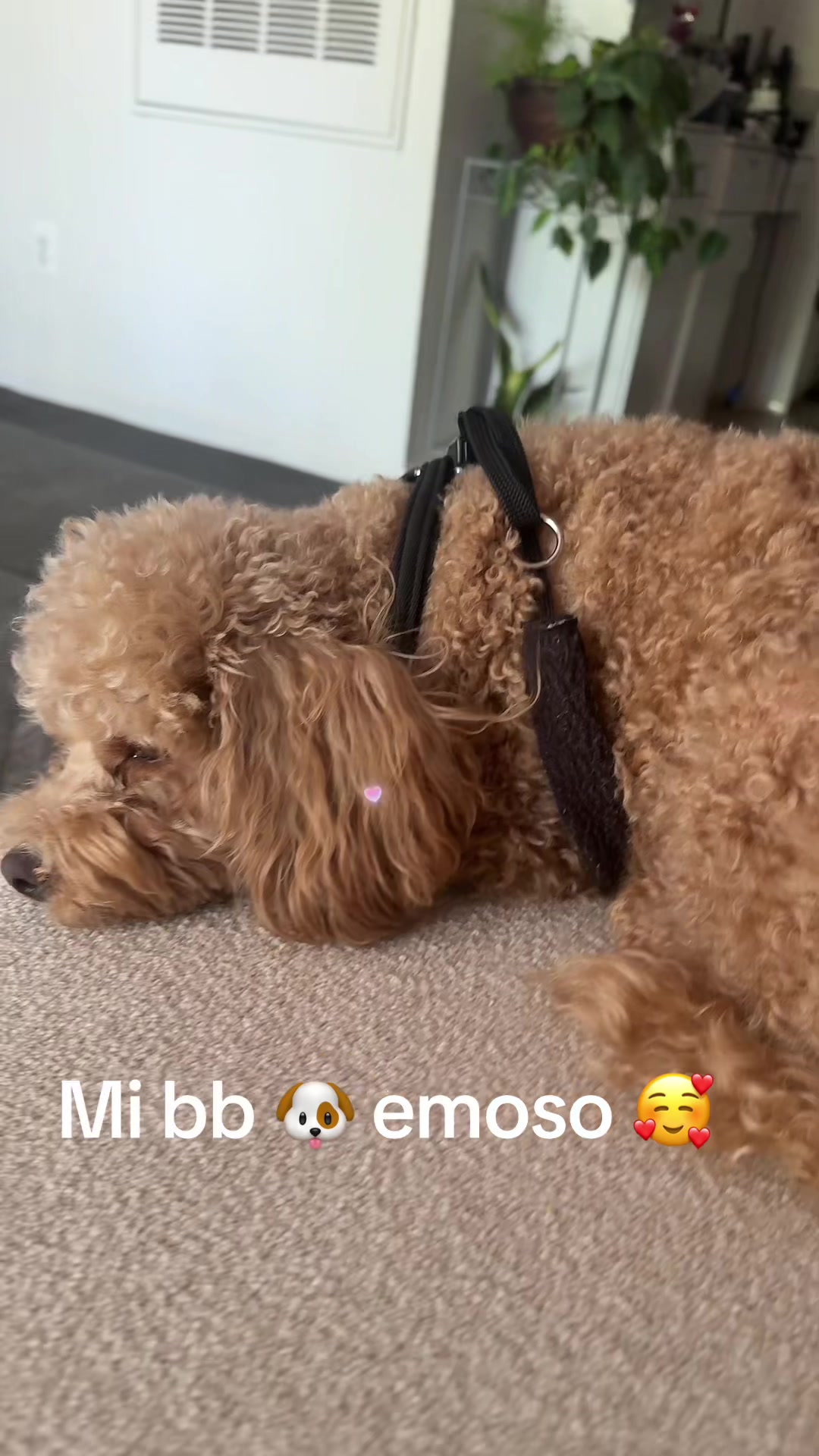@pattycastillot