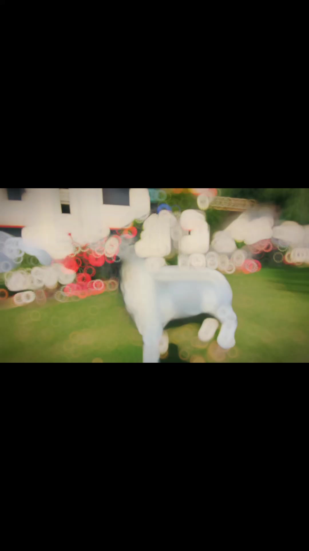@AltamashVG🏞️🛤🇵🇰👻🏄🏍️