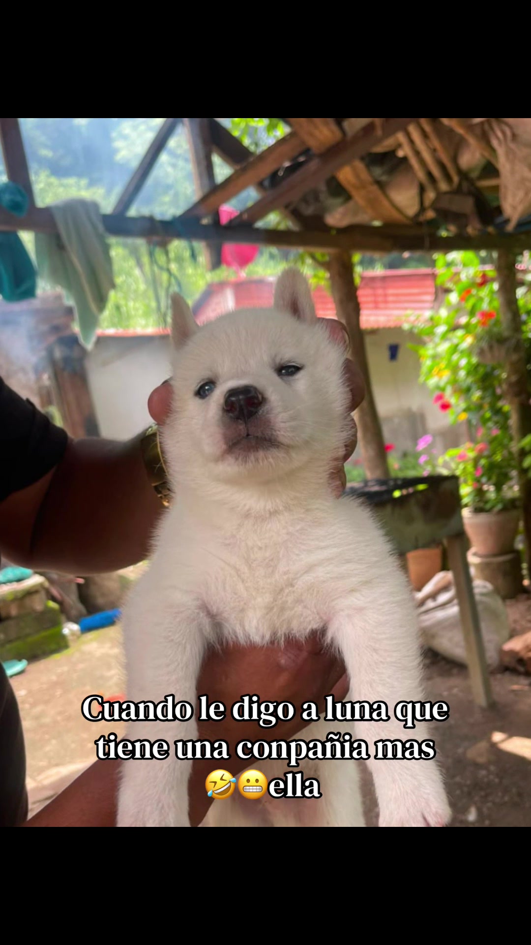 @✨❤️🇳🇮thewarcute🇳🇮❤️✨