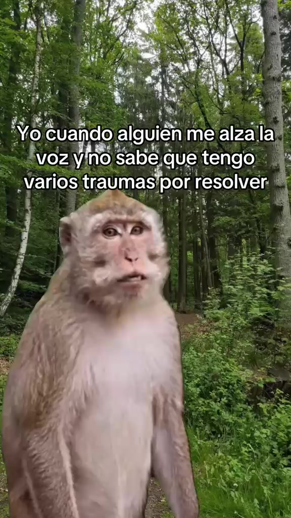 @Fatima Rivas