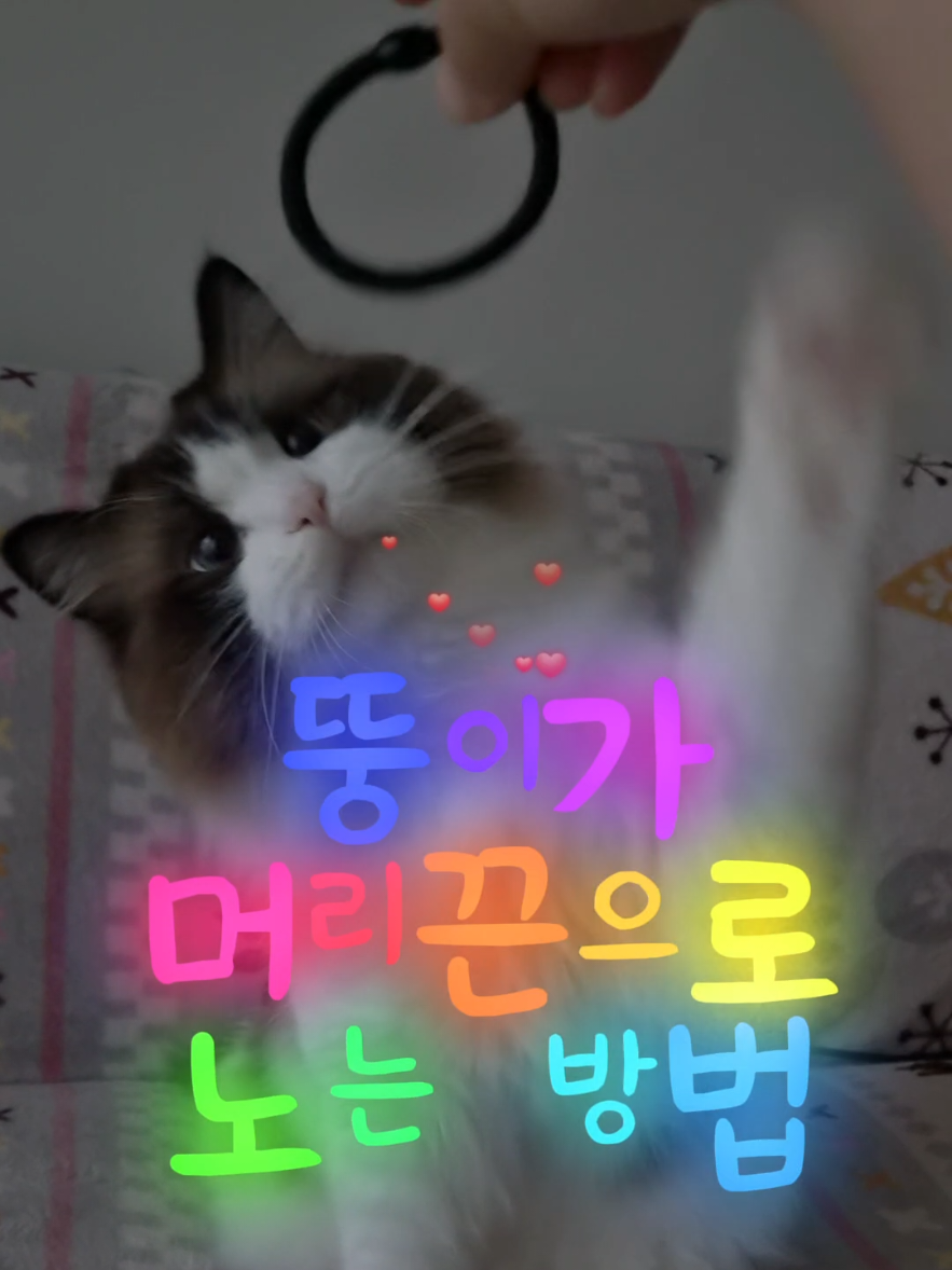 @ddoong2(๋ฑ์ด)