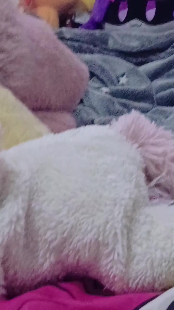 @DarinaDaremine