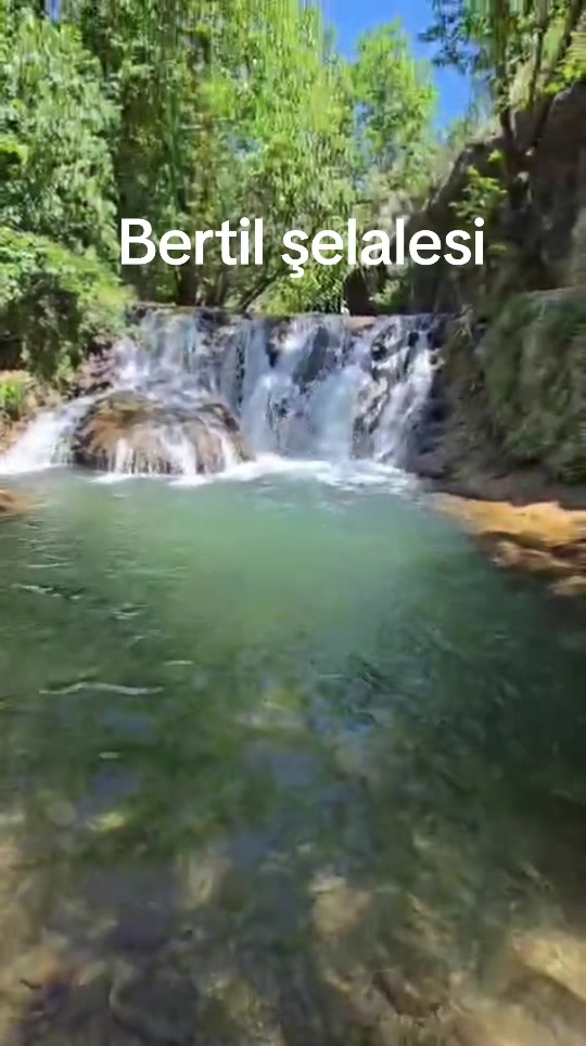@Şervan Oran