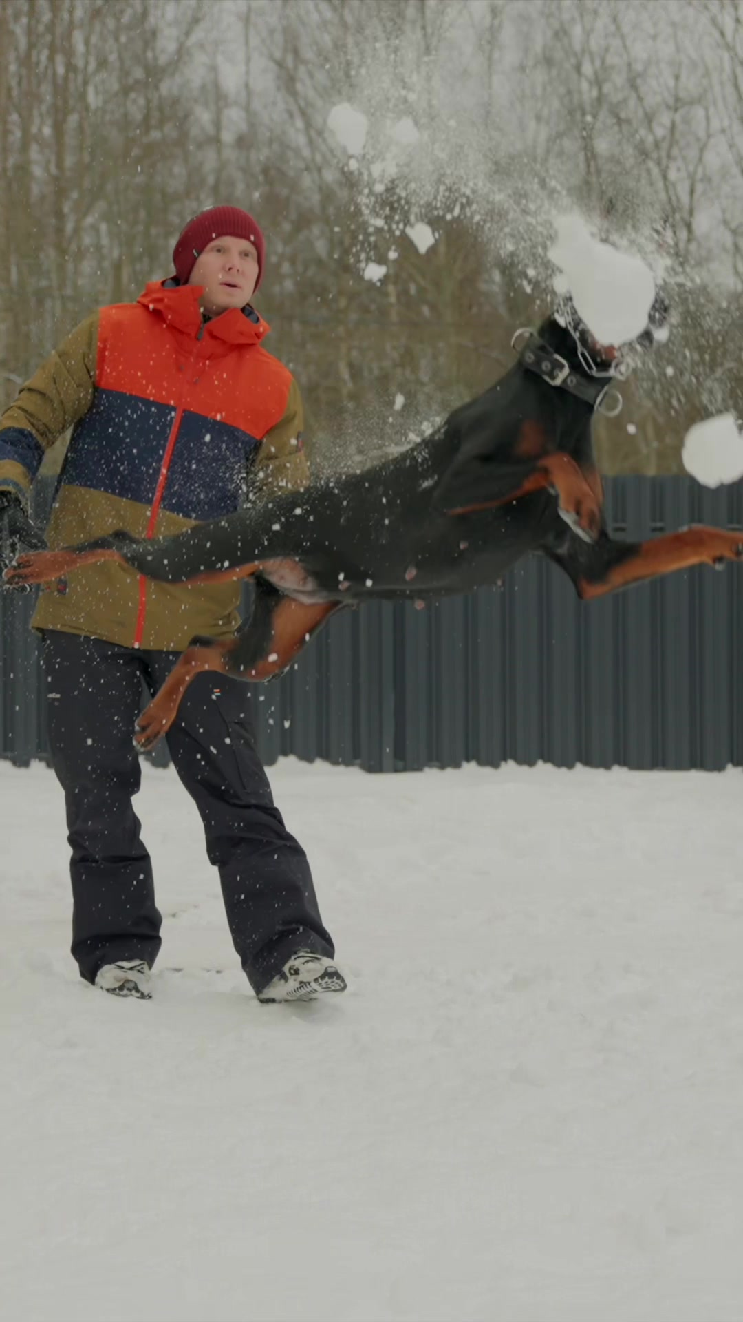 @Djudi_Doberman