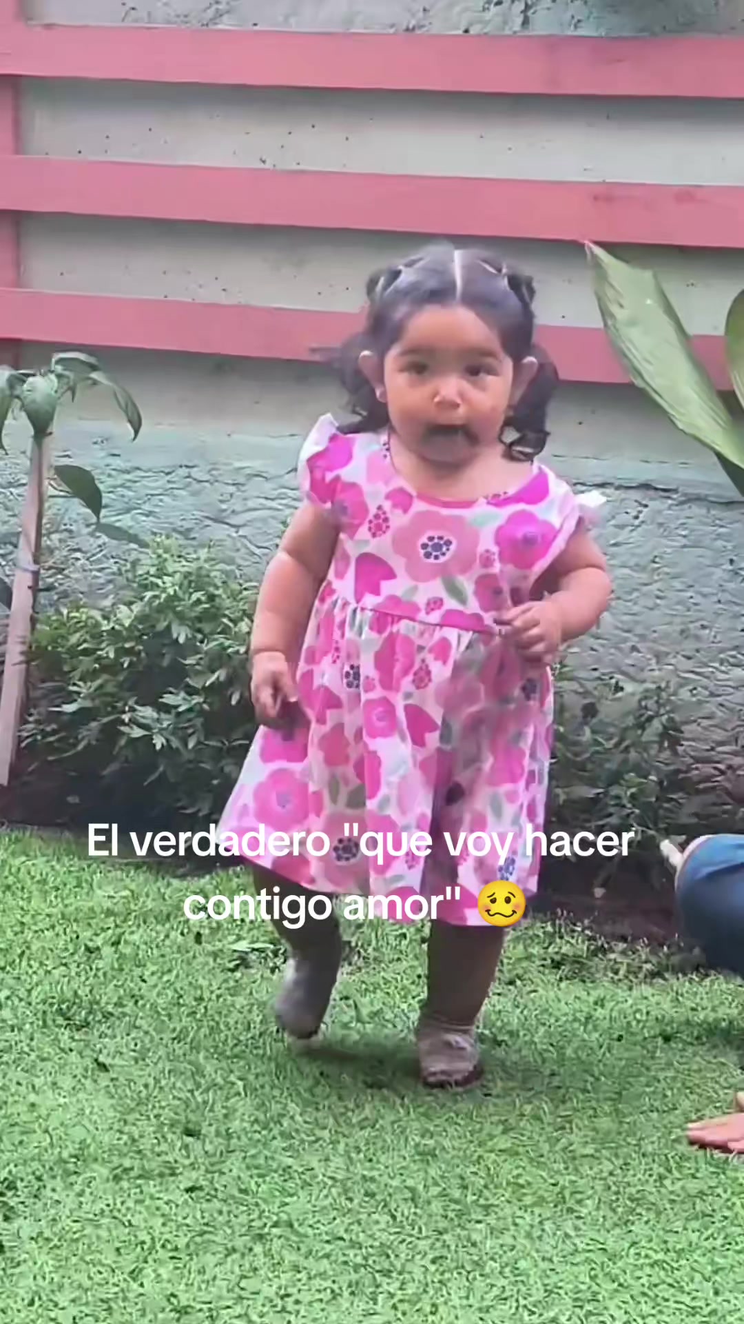 @Valentina Mansilla P