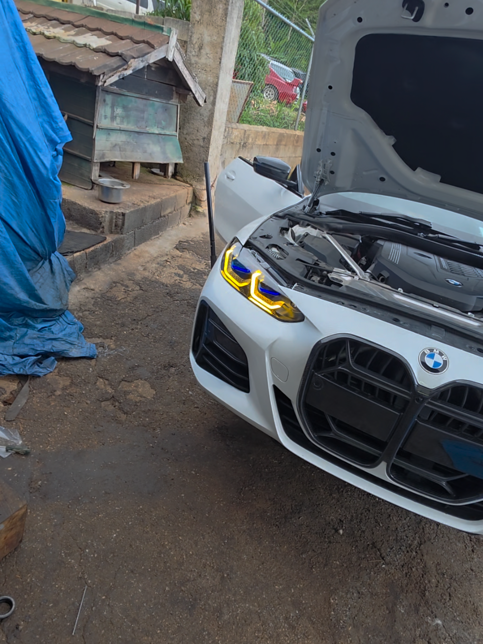 @Speedster Automotive