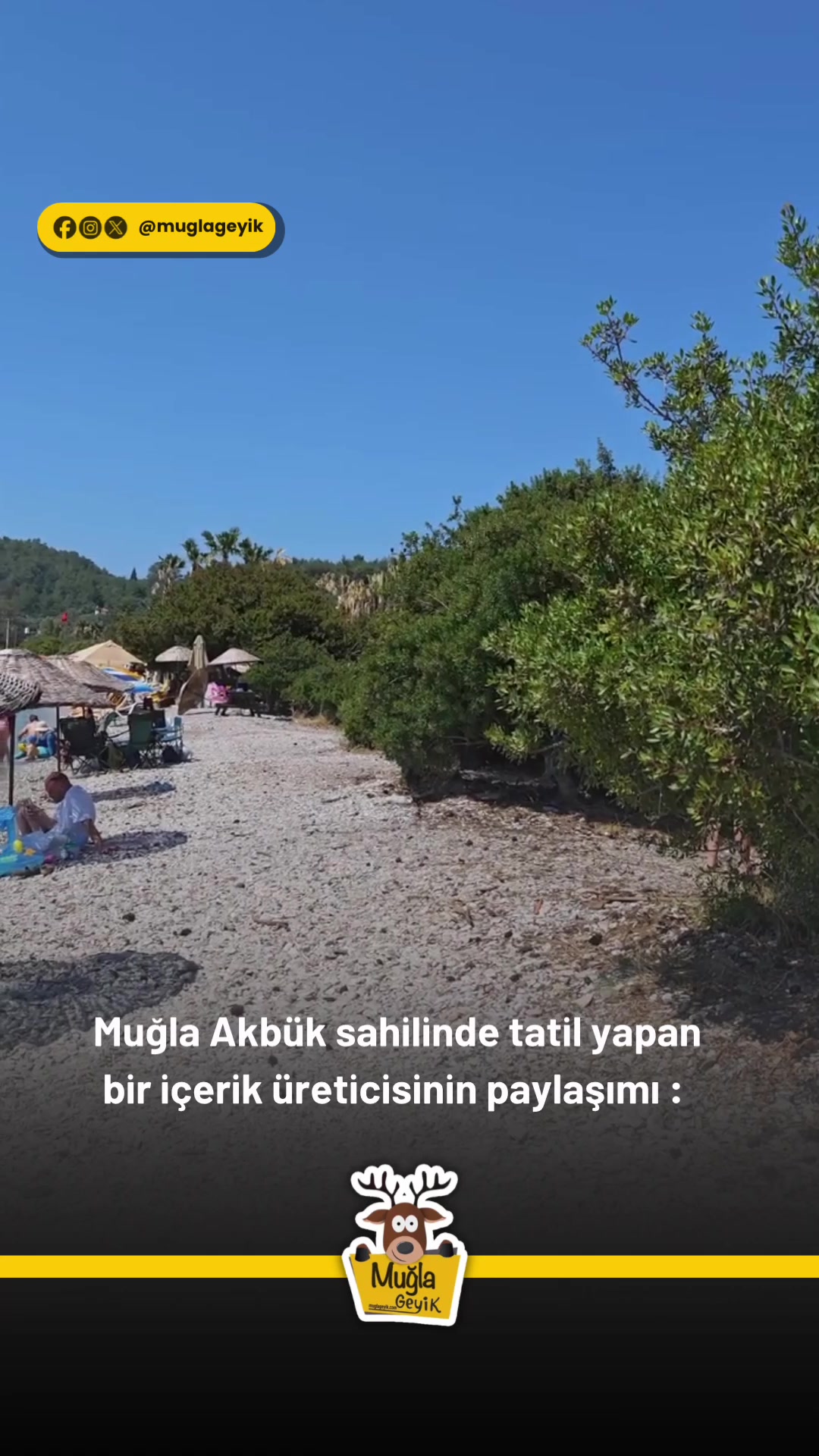 @Muğla Geyik