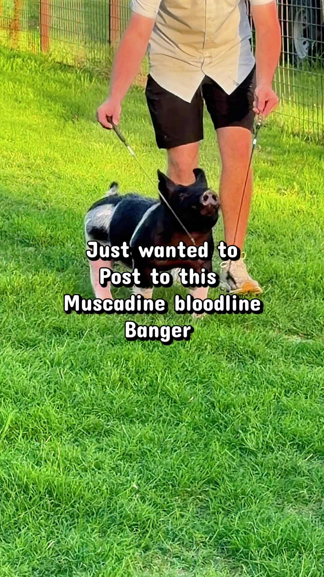 @Notch7
