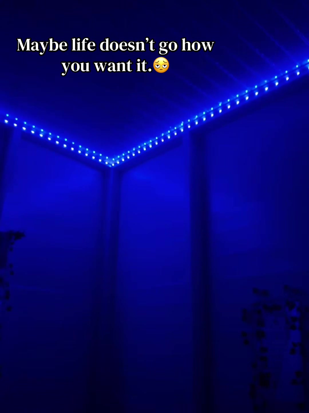 @Ritesh🪼