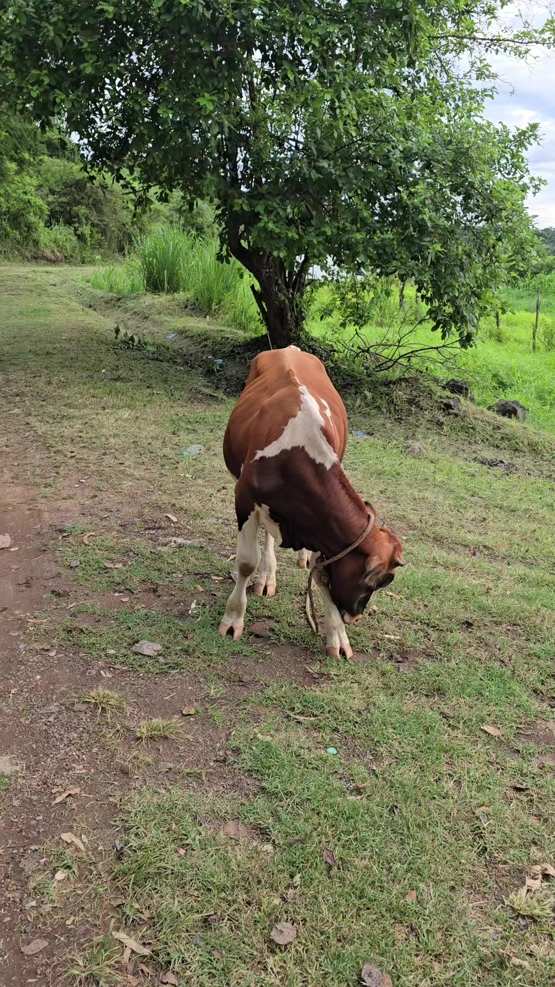 @El Chamba SV
