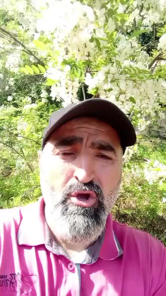 @أبو خليل حكواتي