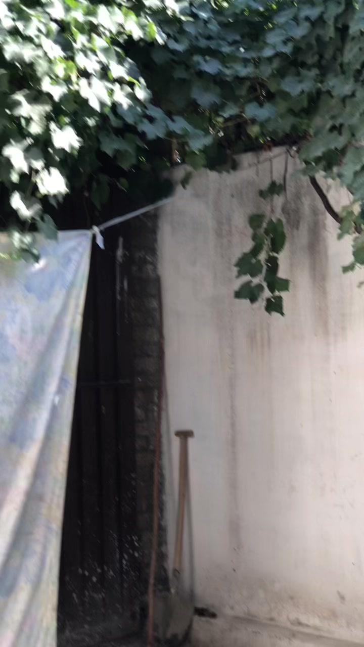 @* 🦅 S&acirc;&Icirc;d  &Aring;&ntilde;W&acirc;ر 🦅*