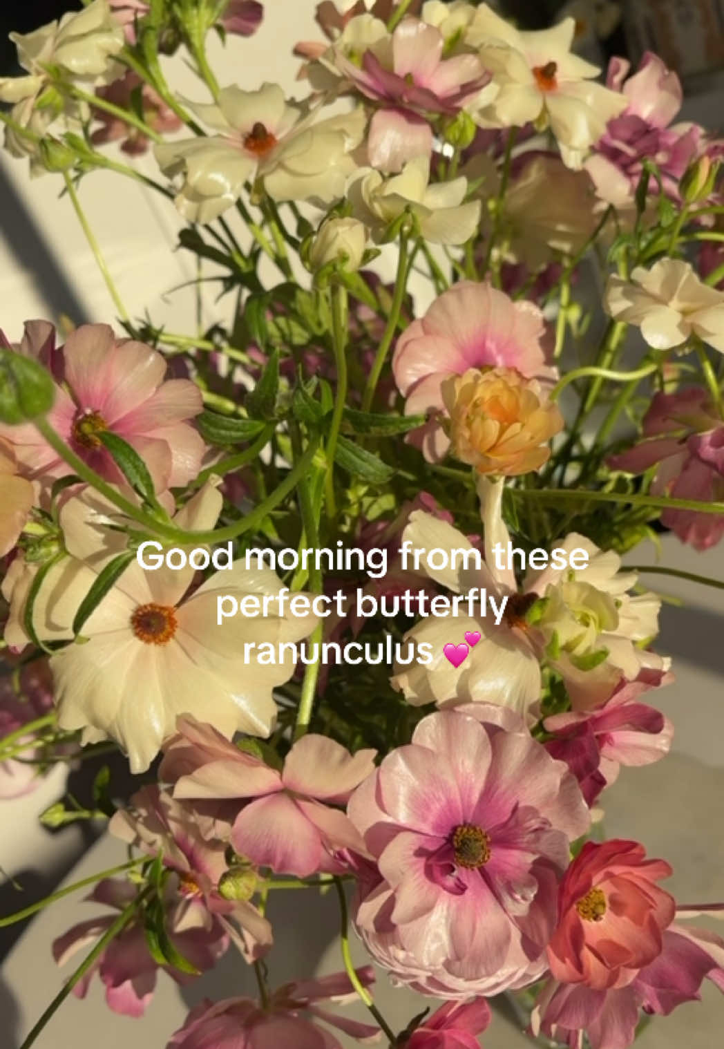 @loveleighblooms