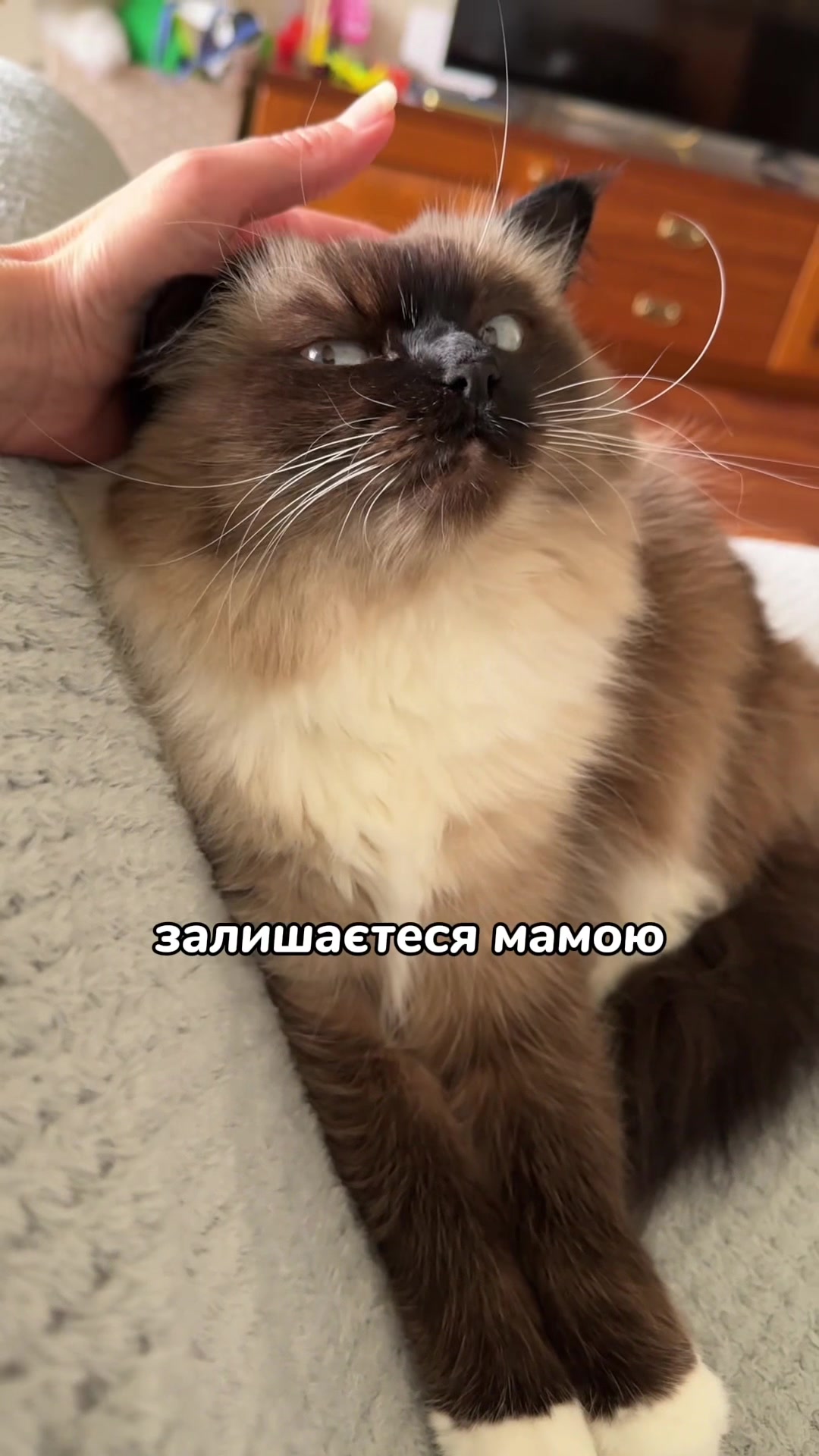 @Місс КІСЯ