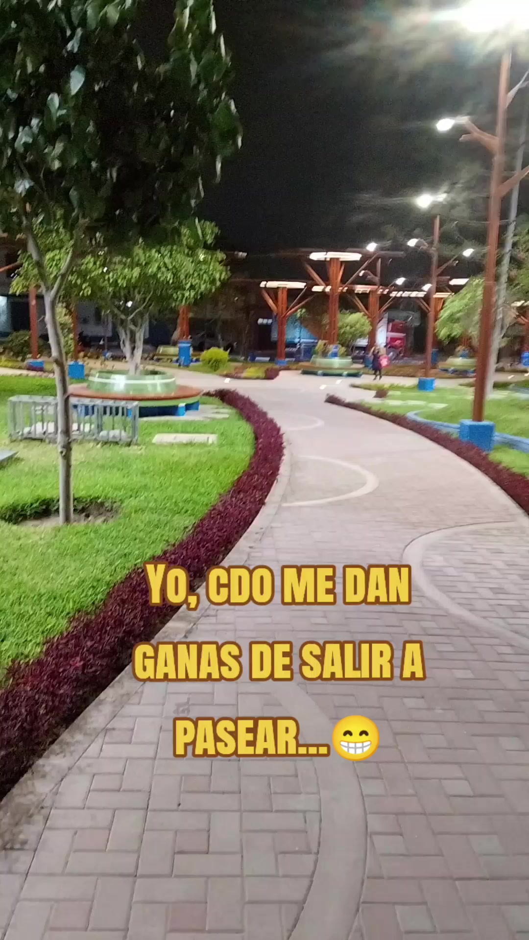 @Lily