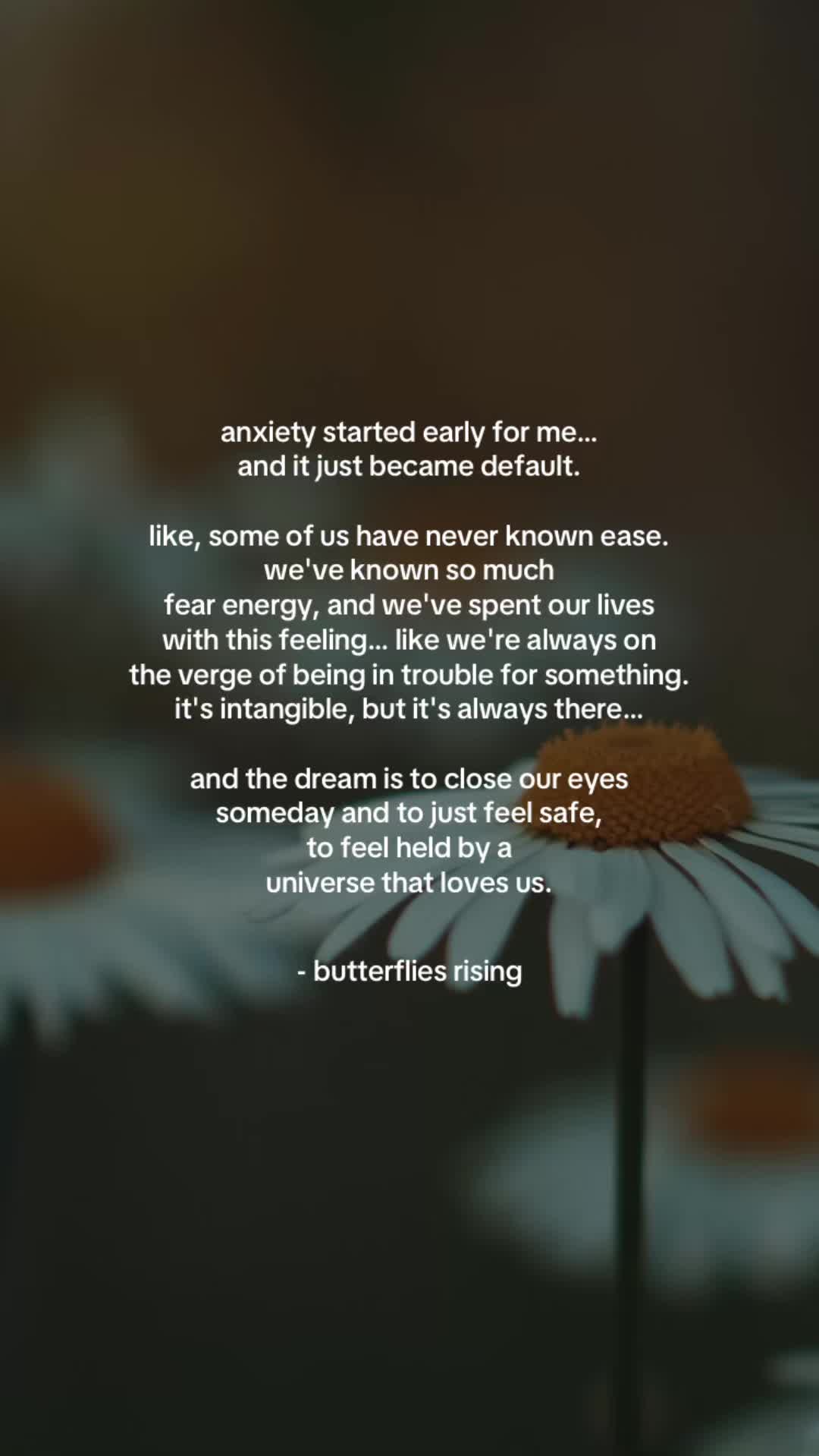 @butterflies rising