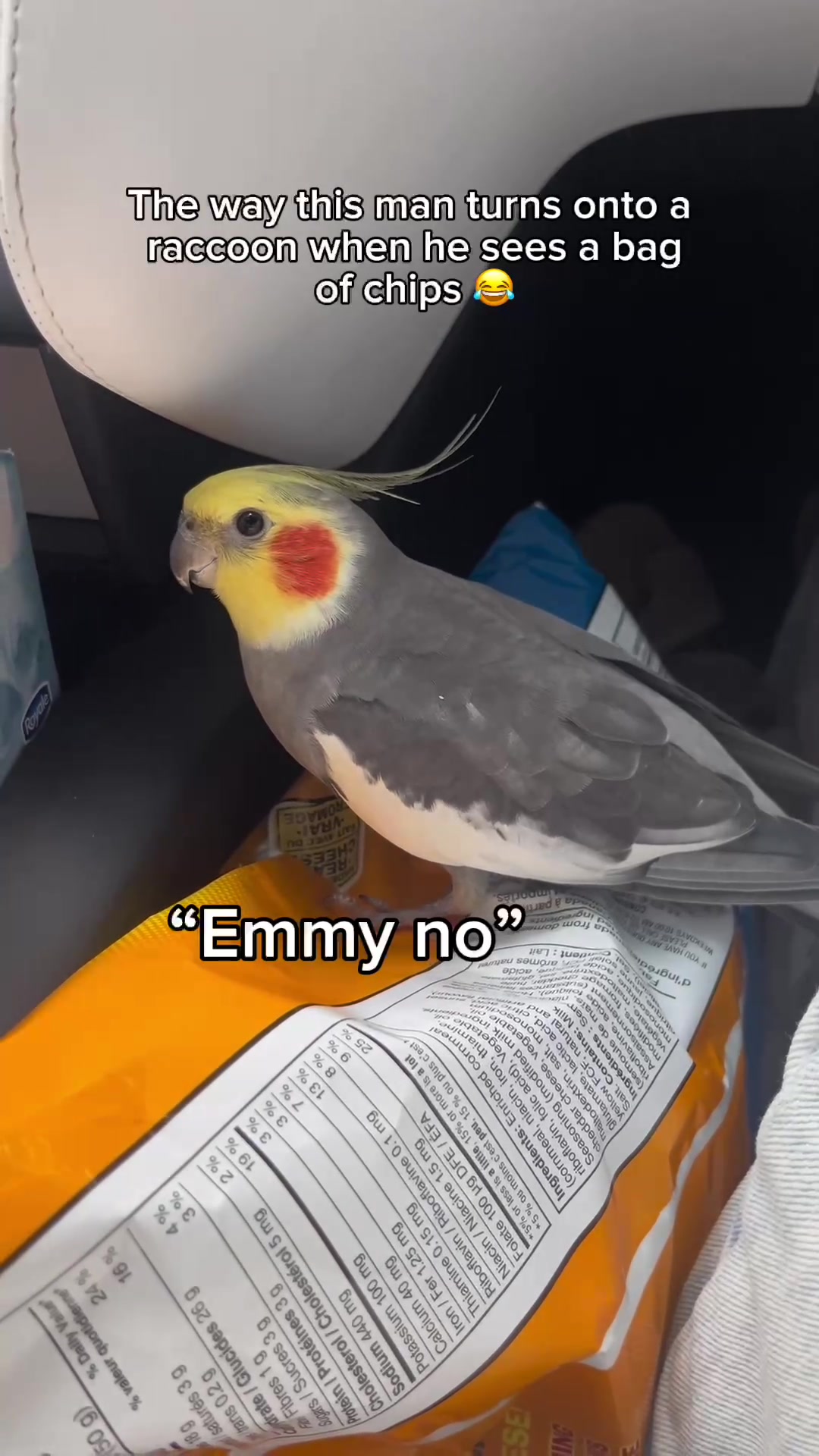 @Emery The Branch Manager