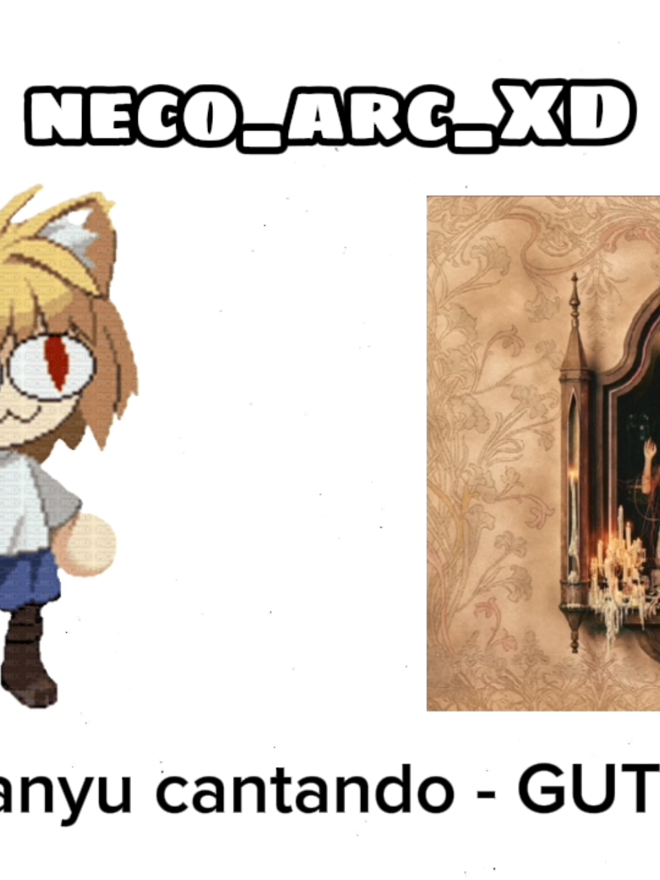 @neco_arc_XD