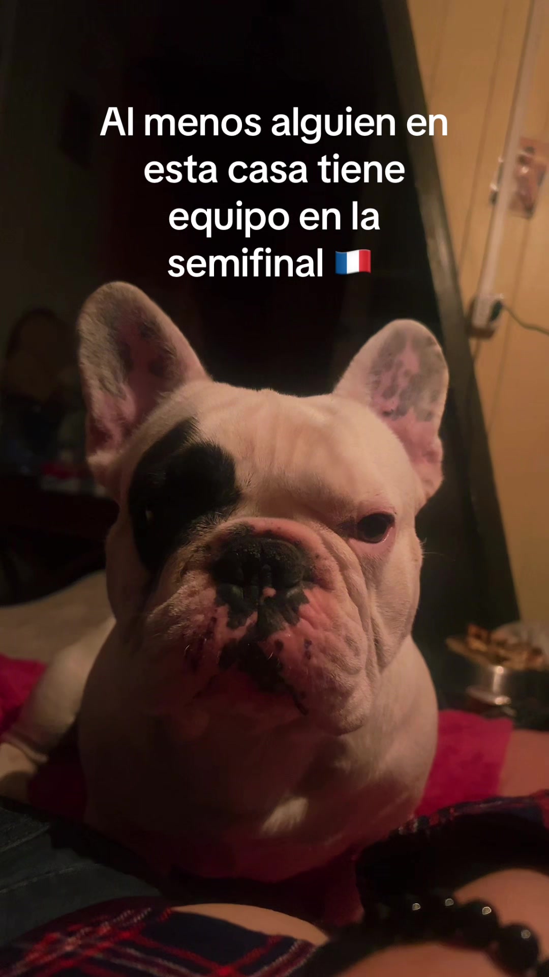 @María Clarita Ortega