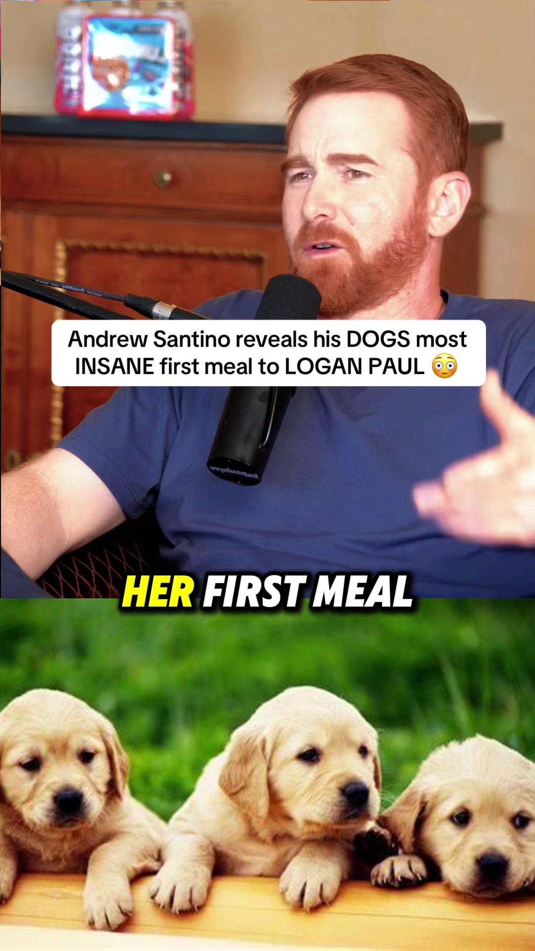 @Bowzdoesclips
