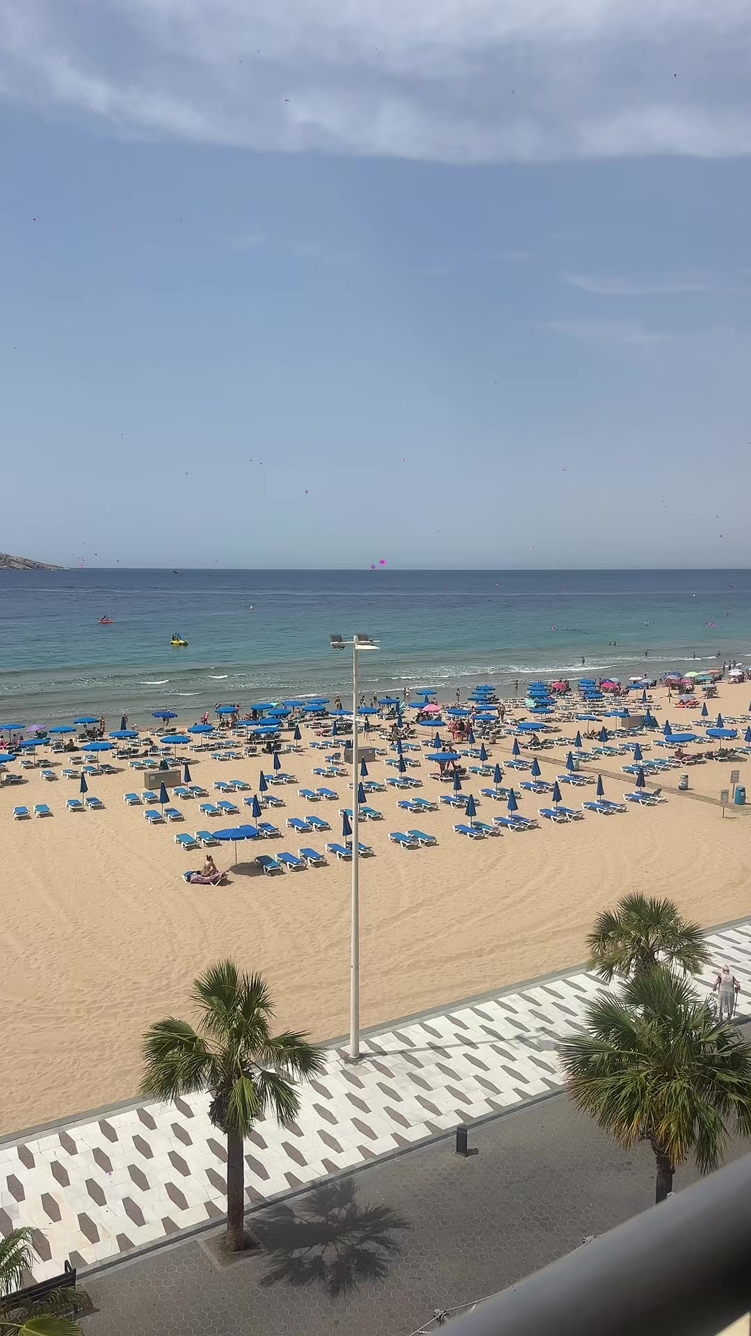 @Karim Benidorm 🇪🇦🇩🇿