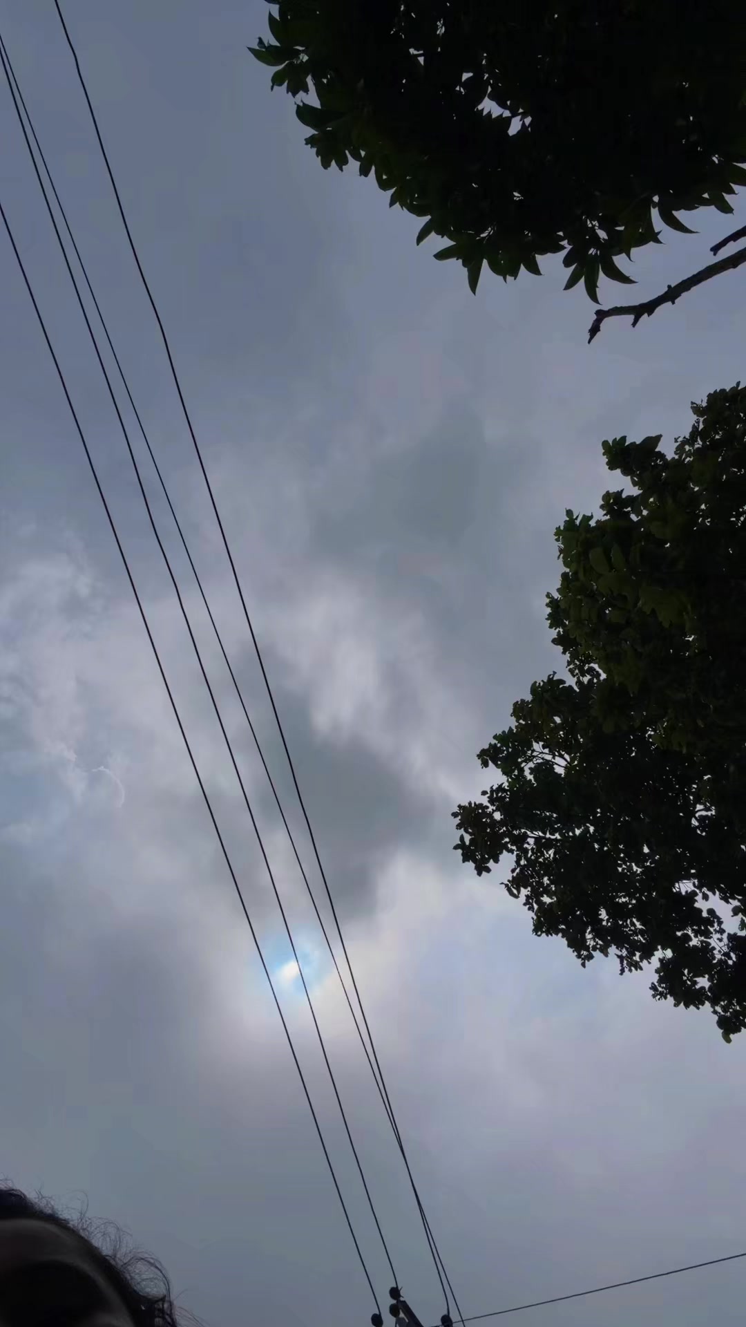 @𝑺𝒕𝒂𝒍𝒊𝒏𝒂 ✅️🇳🇵