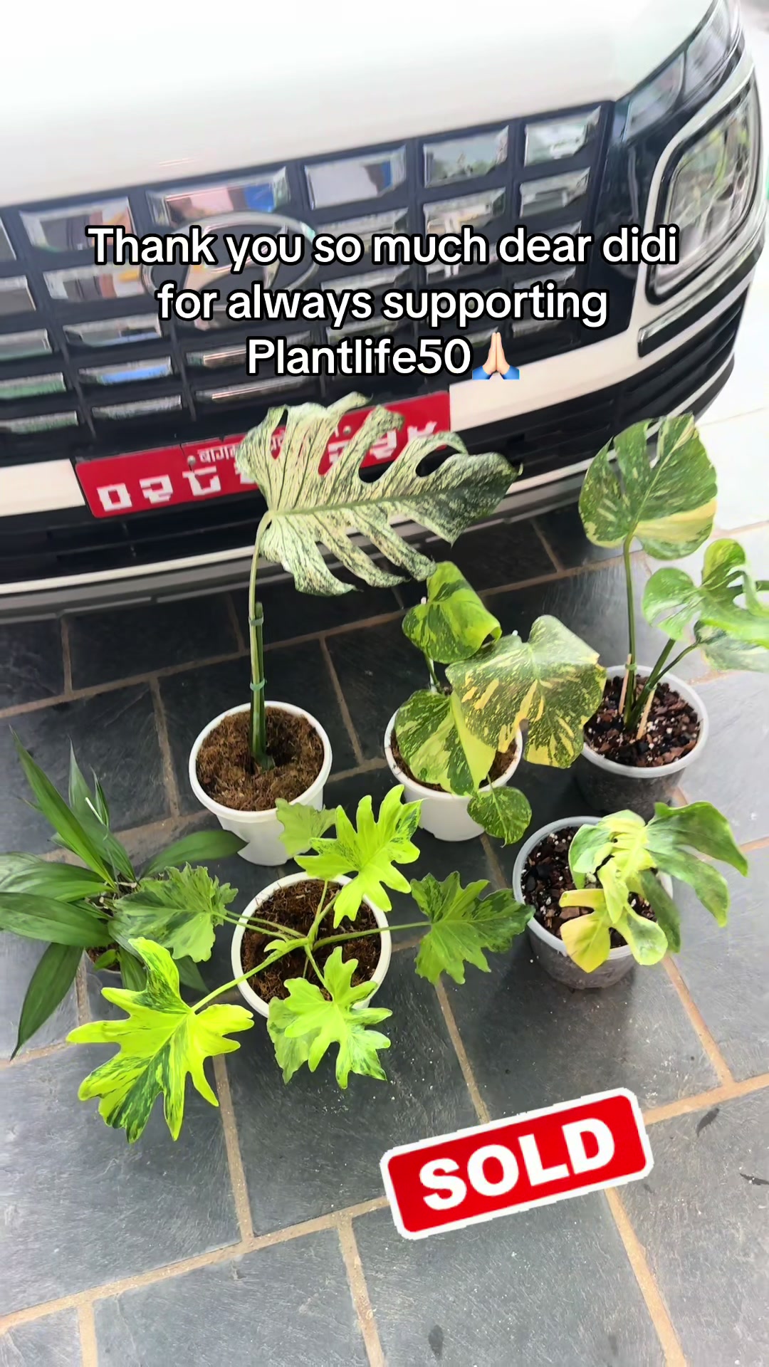 @Plantlife50