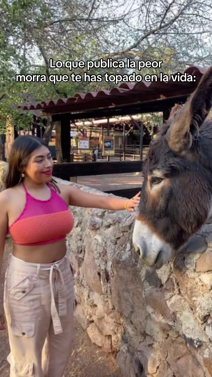 @cexi